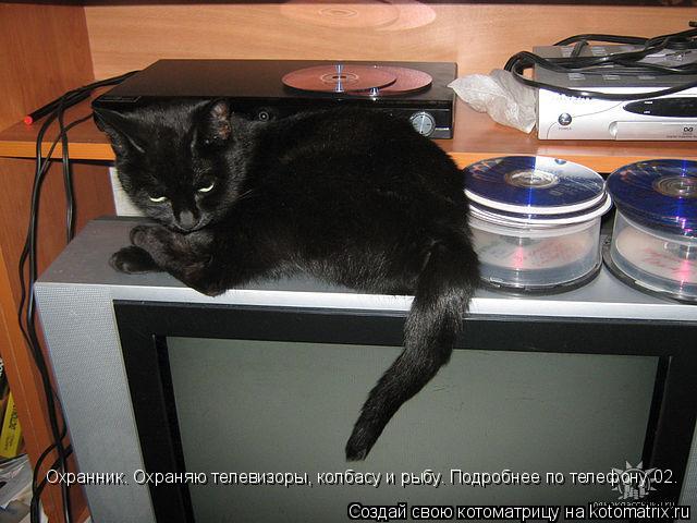 Котоматрица: Охранник. Охраняю телевизоры, колбасу и рыбу. Подробнее по телефону 02.