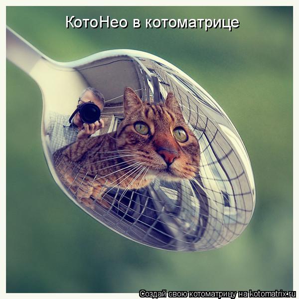 Котоматрица: КотоНео в котоматрице