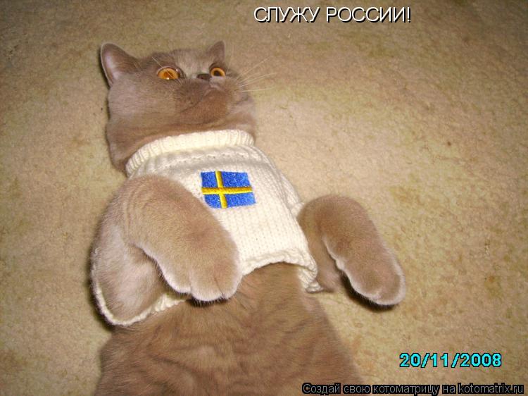 Котоматрица: СЛУЖУ РОССИИ!