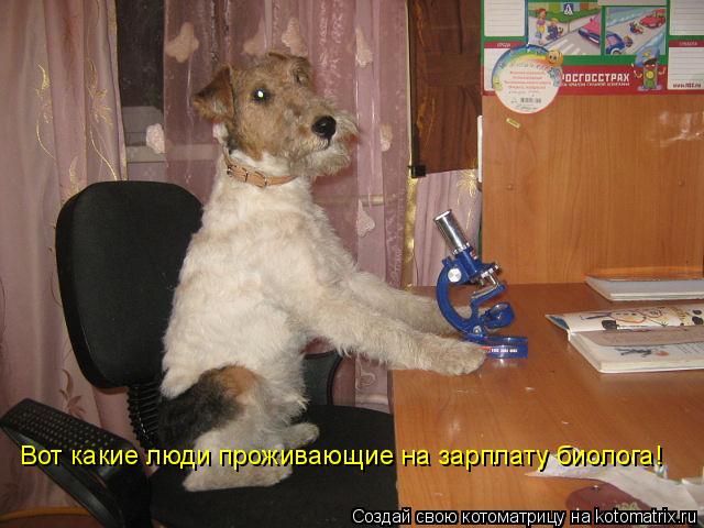 Котоматрица: Вот какие люди проживающие на зарплату биолога!