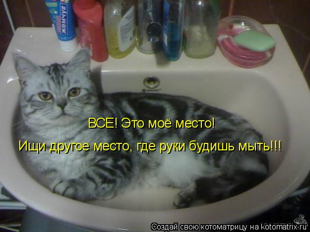 Котоматрица: ВСЕ! Это моё место! Ищи другое место, где руки будишь мыть!!!