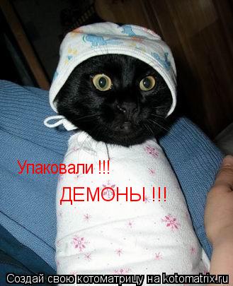 Упаковали !!! ДЕМОНЫ !!!... Котоматрица: Упаковали !!! ДЕМОНЫ !!!
