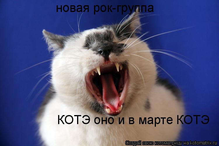 КОТЭ оно и в марте КОТЭ новая рок-группа... Котоматрица: КОТЭ оно и в марте КОТЭ новая рок-группа