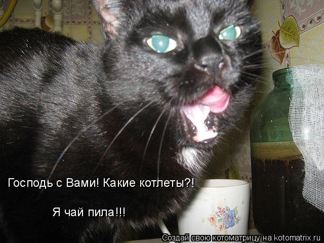 Господь с Вами! Какие котлеты?! Я чай пила!!!... Котоматрица: Господь с Вами! Какие котлеты?! Я чай пила!!!