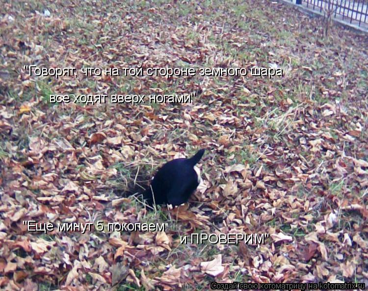 "Говорят, что на той стороне земного шара все ходят вверх ногами..." "Говорят, что на той стороне зем... Котоматрица: "Говорят, что на той стороне земного шара все ходят вверх ногами..." "Говорят, что на той стороне земного шара все ходят вверх ногами" "Еще мин
