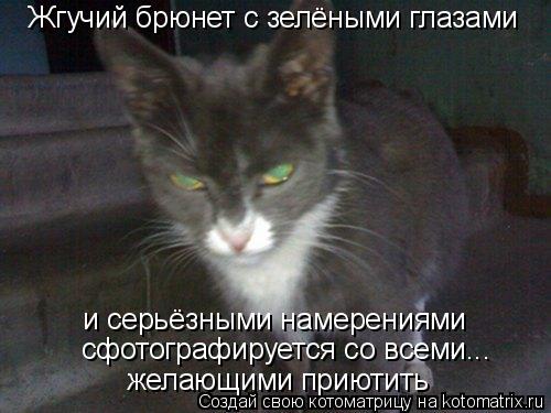 Жгучий брюнет с зелёными глазами и серьёзными намерениями желающими приютить сфотографируется со всем... Котоматрица: Жгучий брюнет с зелёными глазами и серьёзными намерениями желающими приютить сфотографируется со всеми...