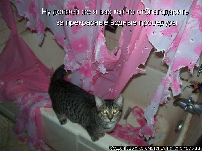 Ну должен же я вас как-то отблагодарить за прекрасные водные процедуры... Котоматрица: Ну должен же я вас как-то отблагодарить за прекрасные водные процедуры