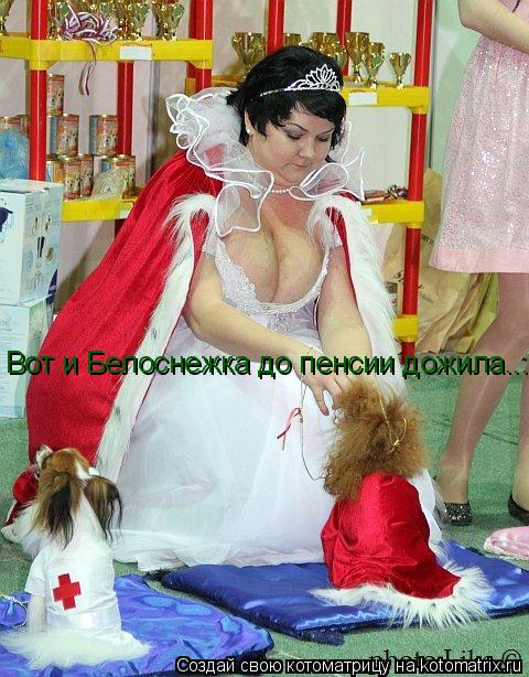 Вот и Белоснежка до пенсии дожила...... Котоматрица: Вот и Белоснежка до пенсии дожила...