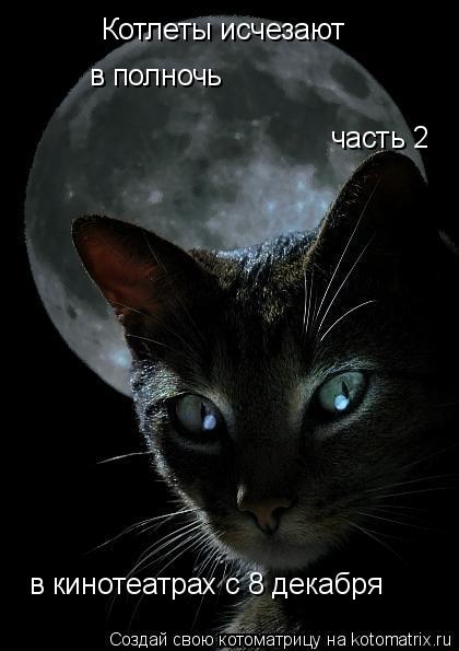 Котлеты исчезают в полночь часть 2 в кинотеатрах с 8 декабря... Котоматрица: Котлеты исчезают в полночь часть 2 в кинотеатрах с 8 декабря