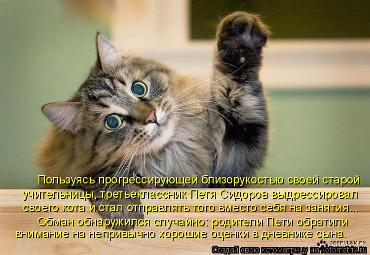 Котоматрица: Пользуясь прогрессирующей близорукостью своей старой учительницы, третьеклассник Петя Сидоров выдрессировал своего кота и стал отправля