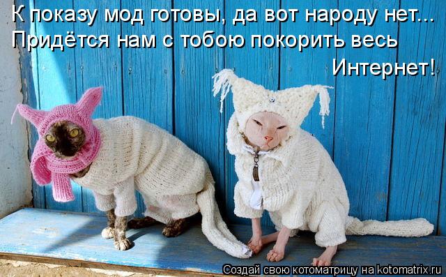 К показу мод готовы, да вот народу нет... Придётся нам с тобою покорить весь Интернет!... Котоматрица: К показу мод готовы, да вот народу нет... Придётся нам с тобою покорить весь Интернет!