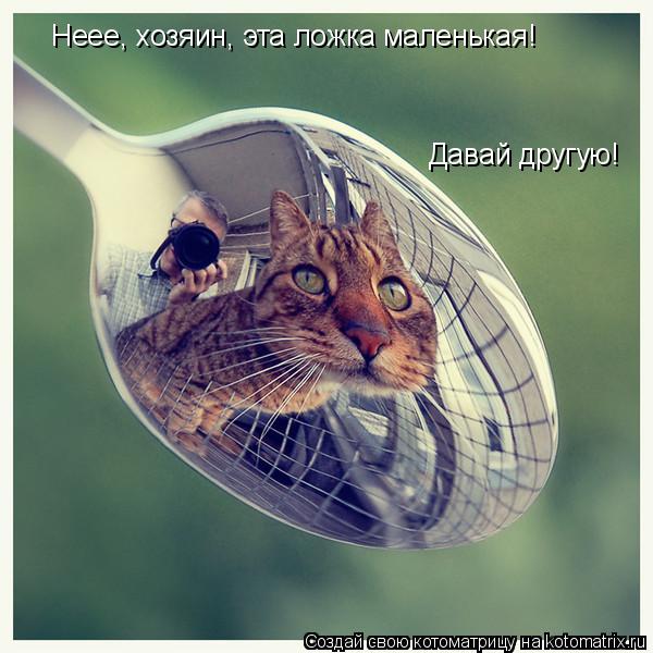 Котоматрица: Давай другую! Неее, хозяин, эта ложка маленькая!