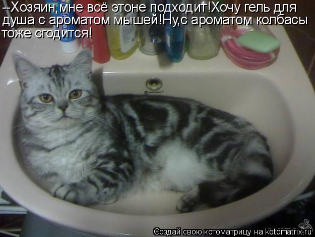 --Хозяин,мне всё этоне подходит!Хочу гель для душа с ароматом мышей!Ну,с ароматом колбасы тоже сгодит... Котоматрица: --Хозяин,мне всё этоне подходит!Хочу гель для душа с ароматом мышей!Ну,с ароматом колбасы тоже сгодится!