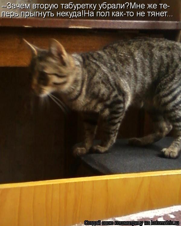 Котоматрица: --Зачем вторую табуретку убрали?Мне же те- перь прыгнуть некуда!На пол как-то не тянет...