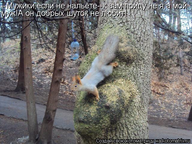 Котоматрица: --Мужики,если не нальёте--к вам приду не я,а мой муж!А он добрых шуток не любит!