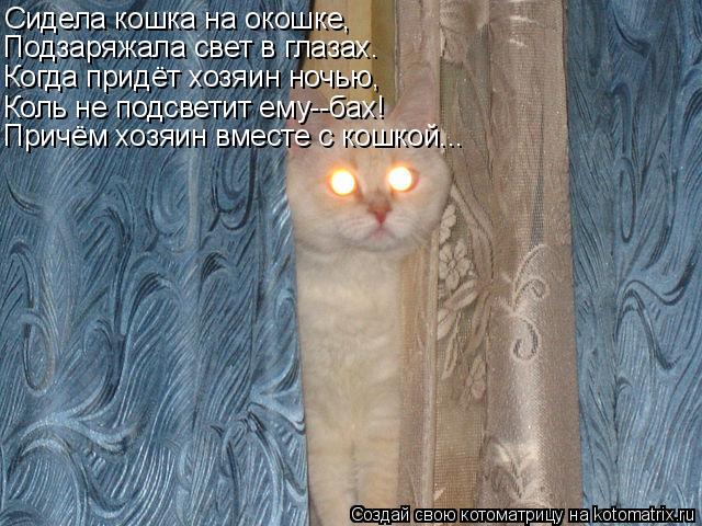 Котоматрица: Сидела кошка на окошке, Подзаряжала свет в глазах. Когда придёт хозяин ночью, Коль не подсветит ему--бах! Причём хозяин вместе с кошкой...