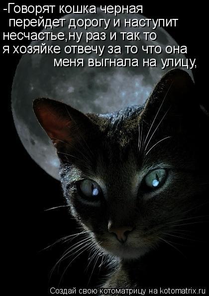 Котоматрица: -Говорят кошка черная  перейдет дорогу и наступит несчастье,ну раз и так то я хозяйке отвечу за то что она  меня выгнала на улицу,