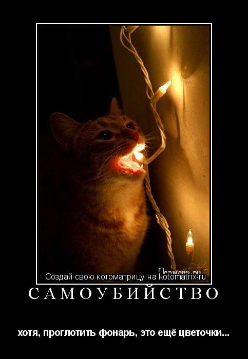 Котоматрица: САМОУБИЙСТВО хотя, проглотить фонарь, это ещё цветочки...