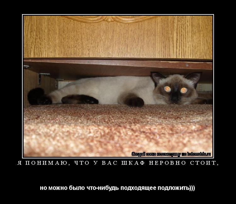 Котоматрица: Я понимаю, что у вас шкаф неровно стоит, но можно было что-нибудь подходящее подложить)))