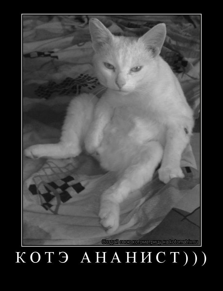 Котоматрица: Котэ ананист))) 