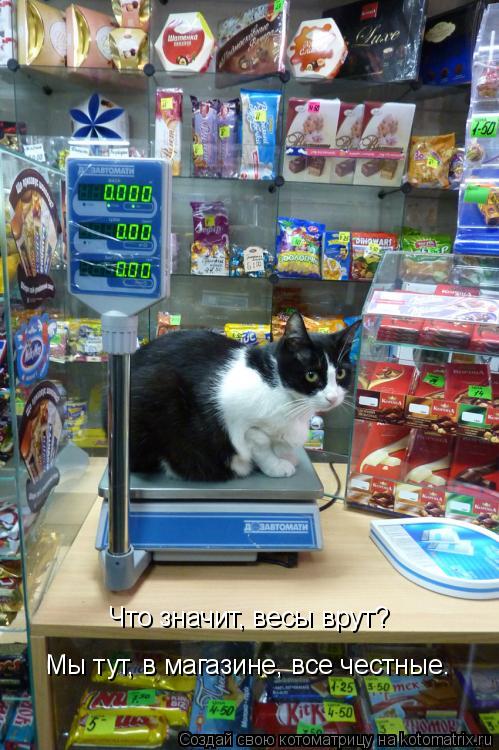 Котоматрица: Что значит, весы врут?  Мы тут, в магазине, все честные.