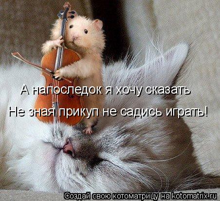 А напоследок я хочу сказать Не зная прикуп не садись играть!... Котоматрица: А напоследок я хочу сказать Не зная прикуп не садись играть!