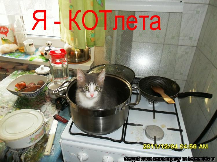Котоматрица: Я - КОТлета