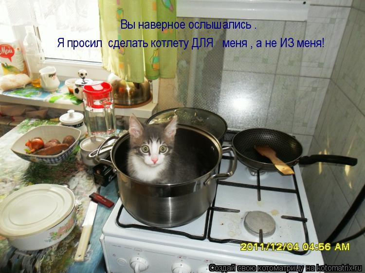 Котоматрица: Вы наверное ослышались . Я просил  сделать котлету ДЛЯ   меня , а не ИЗ меня!