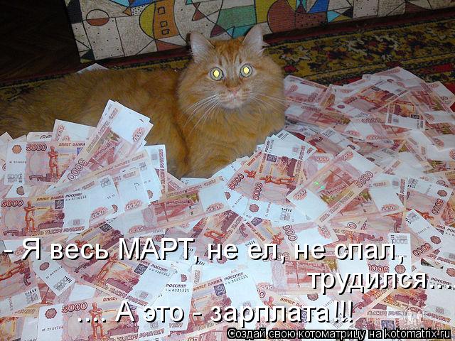 Котоматрица: - Я весь МАРТ, не ел, не спал,  трудился.... .... А это - зарплата!!!