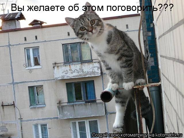 Котоматрица: Вы желаете об этом поговорить???