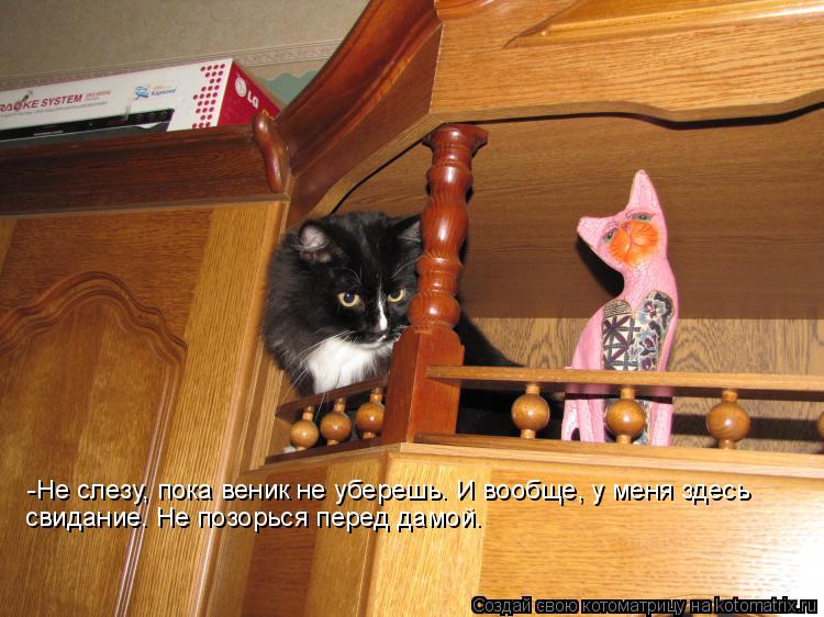 Котоматрица: -Не слезу, пока веник не уберешь. И вообще, у меня здесь  свидание. Не позорься перед дамой.