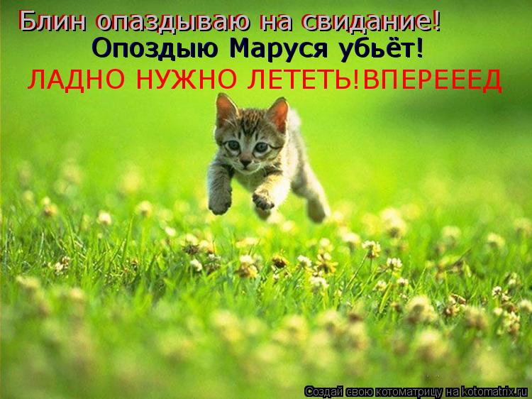 Котоматрица: Блин опаздываю на свидание! Блин опаздываю на свидание! Опоздыю Маруся убьёт! Опоздыю Маруся убьёт! ЛАДНО НУЖНО ЛЕТЕТЬ!ВПЕРЕЕЕД