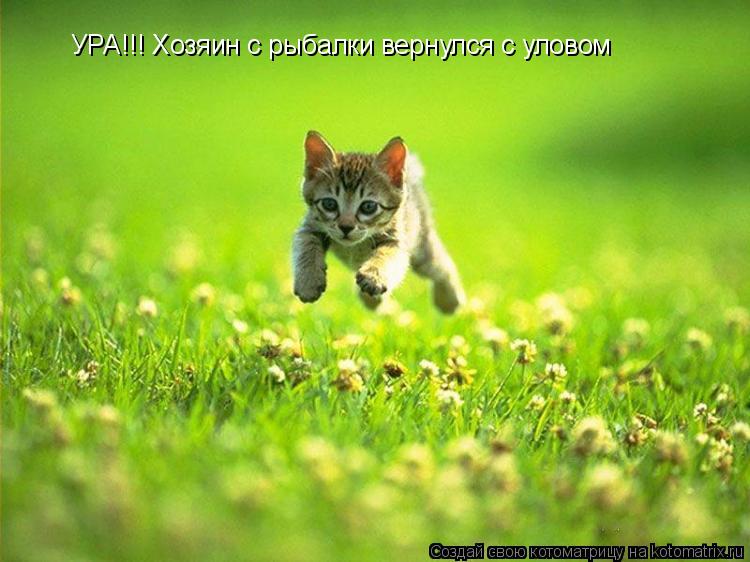 Котоматрица: УРА!!! Хозяин с рыбалки вернулся с уловом