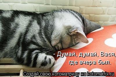 Котоматрица: - Думай, думай, Вася, где вчера был.