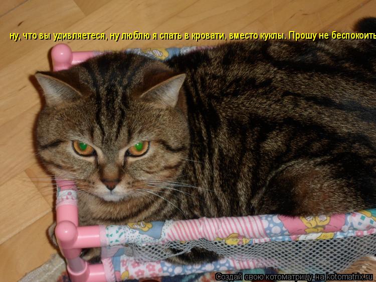Котоматрица: ну, что вы удивляетеся, ну люблю я спать в кровати, вместо куклы. Прошу не беспокоить