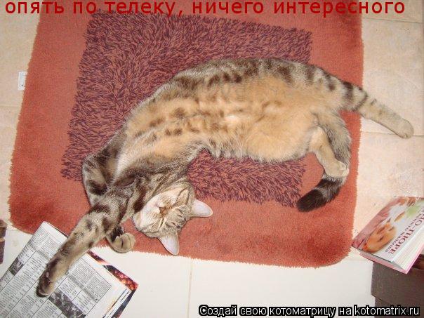опять по телеку, ничего интересного... Котоматрица: опять по телеку, ничего интересного