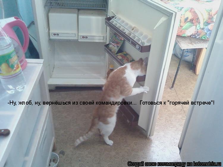 Котоматрица: -Ну, жлоб, ну, вернёшься из своей командировки...  Готовься к "горячей встрече"!