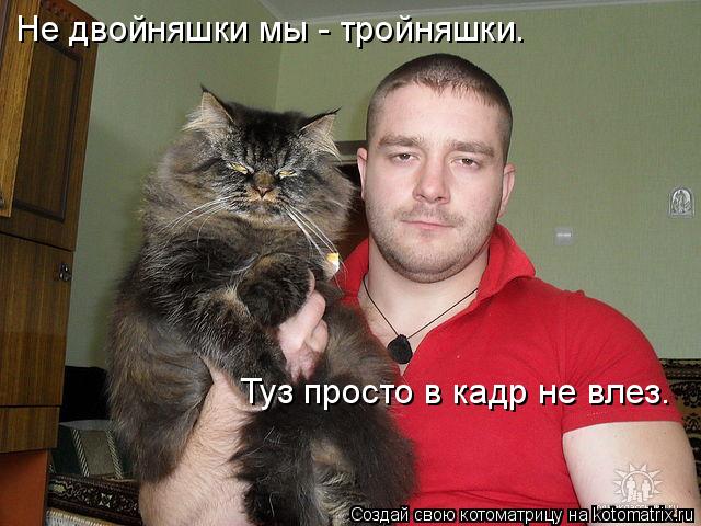 Котоматрица: Не двойняшки мы - тройняшки.   Туз просто в кадр не влез.