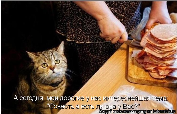 Котоматрица: А сегодня  мои дорогие у нас интереснейшая тема: "Совесть,а есть ли она у Вас?"