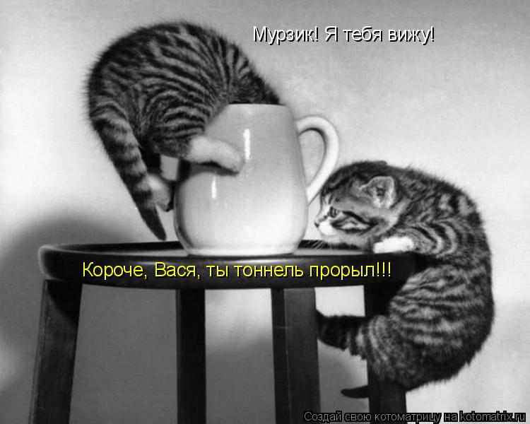 Котоматрица: Мурзик! Я тебя вижу! Короче, Вася, ты тоннель прорыл!!!