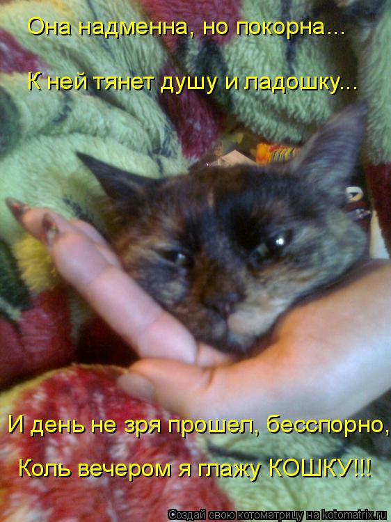 Котоматрица: Она надменна, но покорна... К ней тянет душу и ладошку... И день не зря прошел, бесспорно, Коль вечером я глажу КОШКУ!!!
