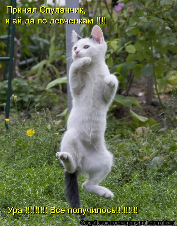 Котоматрица: Принял Спуланчик,  и ай да по девченкам !!!! Ура !!!!!!!!! Все получилось!!!!!!!!!