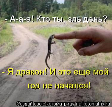 Котоматрица: - А-а-а! Кто ты, злыдень? - Я дракон! И это еще мой год не начался!