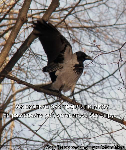 Котоматрица: Уж сколько раз твердили миру, Не раззевайте рот, останитесь без сыру.
