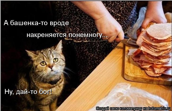 А башенка-то вроде накреняется понемногу... Ну, дай-то бог!... Котоматрица: А башенка-то вроде накреняется понемногу... Ну, дай-то бог!
