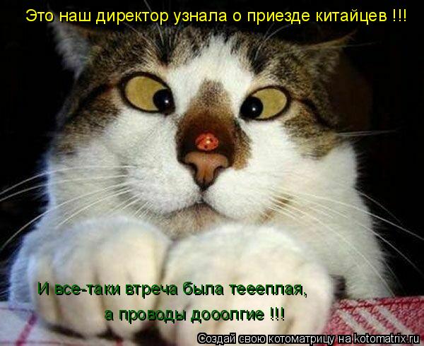 Котоматрица: Это наш директор узнала о приезде китайцев !!! И все-таки втреча была теееплая, а проводы дооолгие !!!