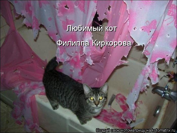 Котоматрица: Любимый кот Филиппа Киркорова