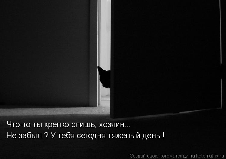 Котоматрица: Что-то ты крепко спишь, хозяин... Не забыл ? У тебя сегодня тяжелый день !