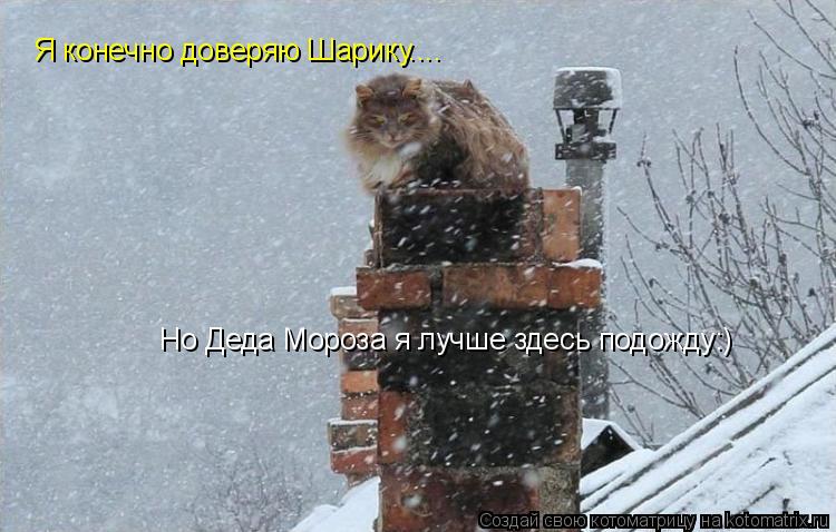 Котоматрица: Я конечно доверяю Шарику.... Но Деда Мороза я лучше здесь подожду:) Я конечно доверяю Шарику....