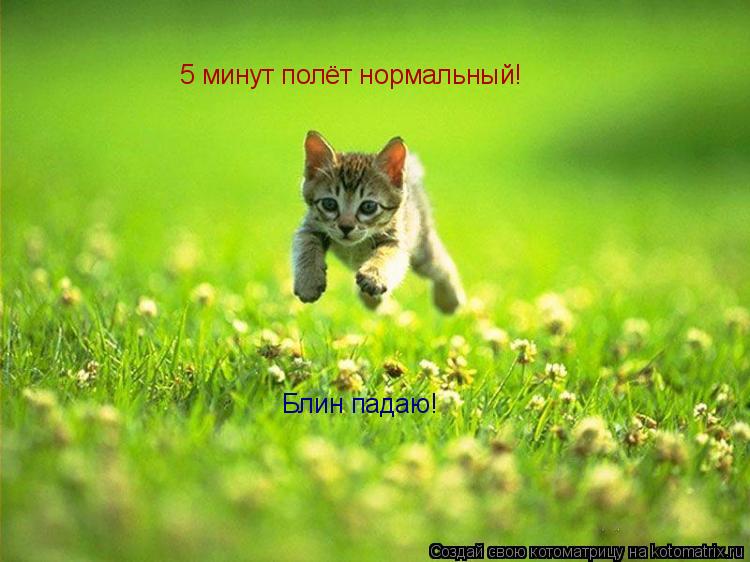 Котоматрица: 5 минут полёт нормальный! Блин падаю!